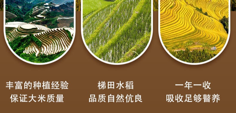 邮政农品 龙脊大山深处的大米现磨现发