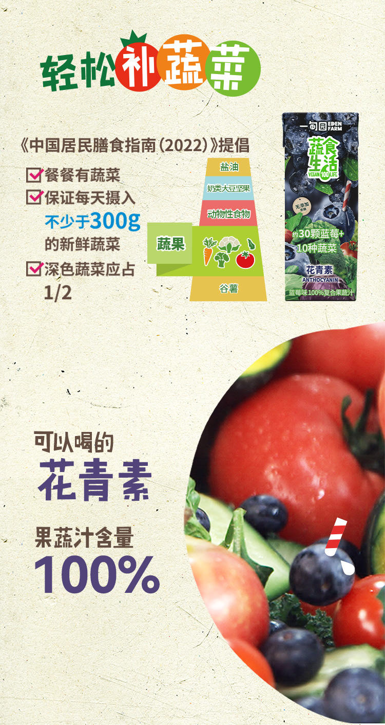 一甸园 100%蓝莓味果蔬汁 200ml*10盒装