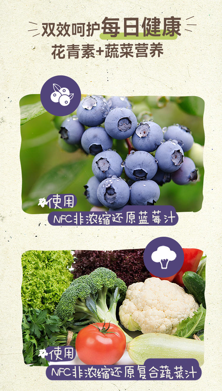 一甸园 100%蓝莓味果蔬汁 200ml*10盒装