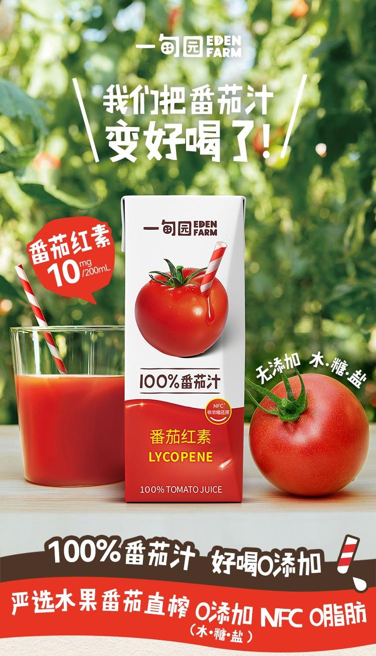 一甸园 100%番茄汁 200ml*10盒装