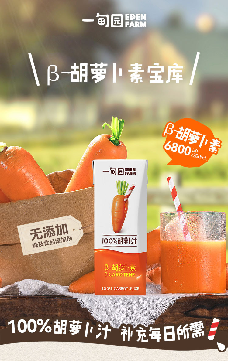 一甸园 100%胡萝卜汁 200ml*10盒装