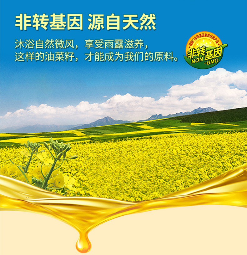 福临门 非转基因纯正菜籽油5L