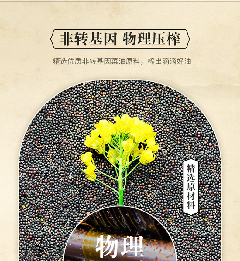 金龙鱼 压榨本香非转基因菜籽油5L