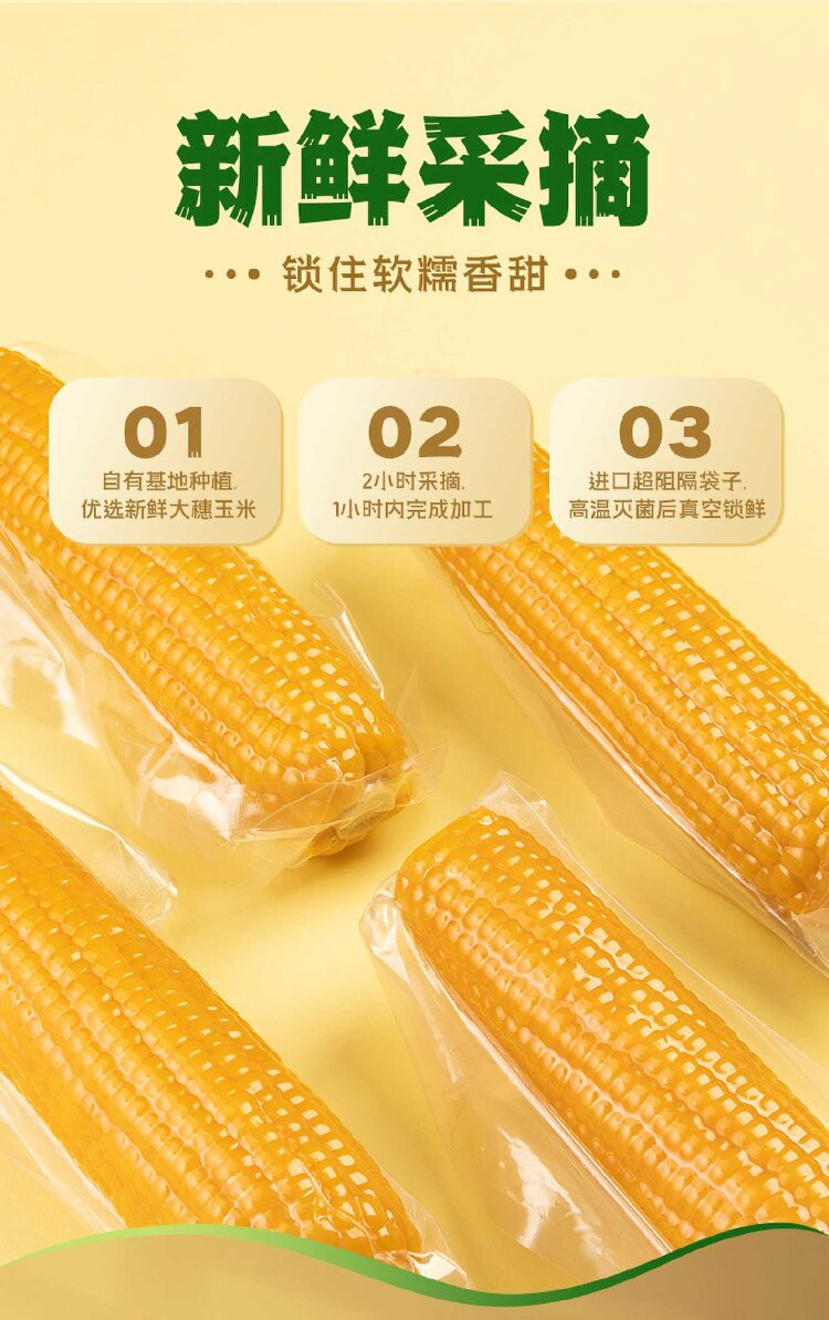 燕之坊 有机黄糯玉米礼盒1.9kg