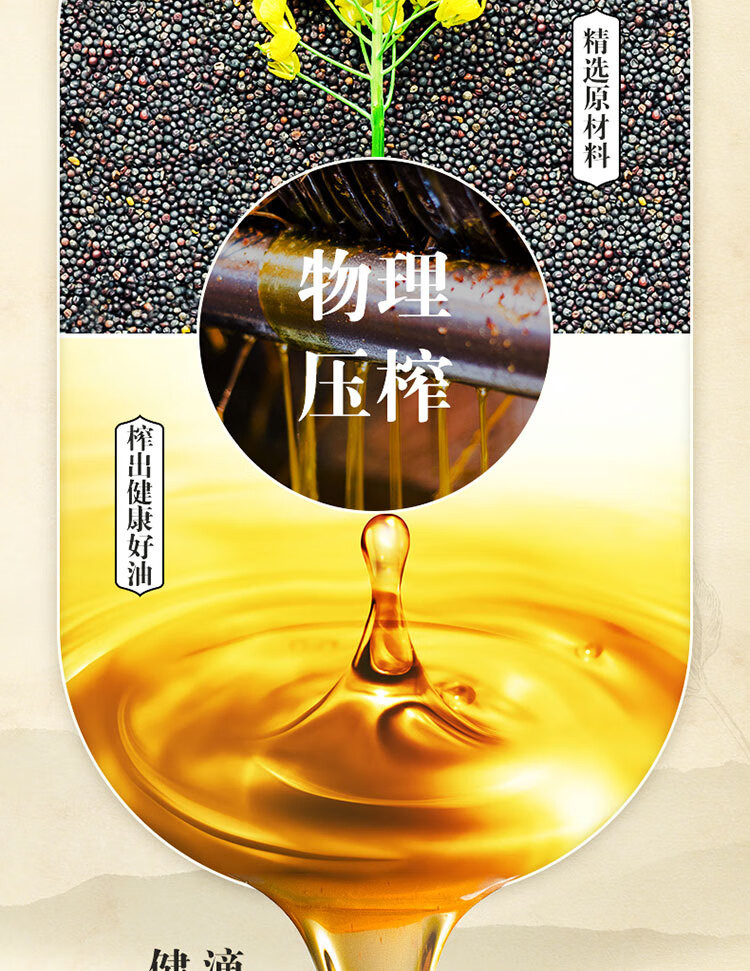 金龙鱼 压榨本香菜籽油1.8L