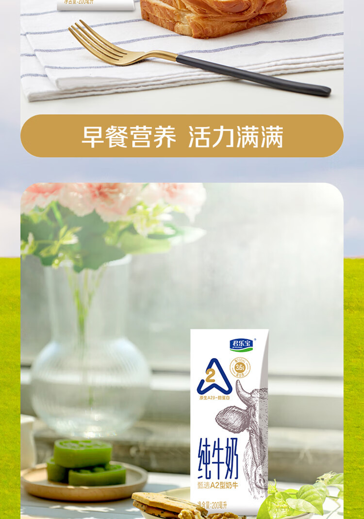 君乐宝 原生A2β-酪蛋白纯牛奶200ml*12礼盒装3.6g乳蛋白