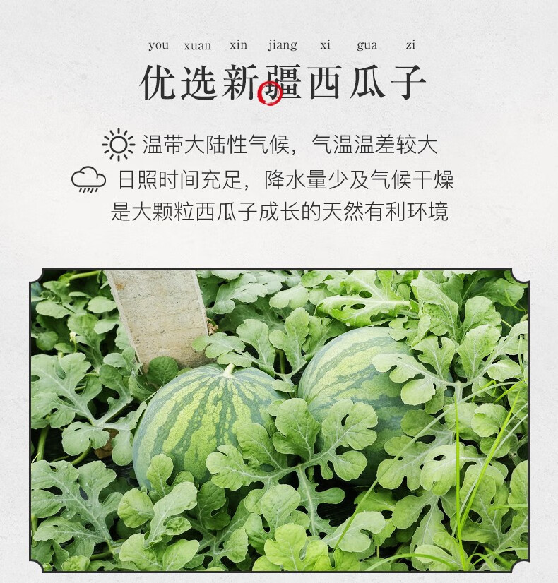 姚生记 甘草味西瓜子1kg