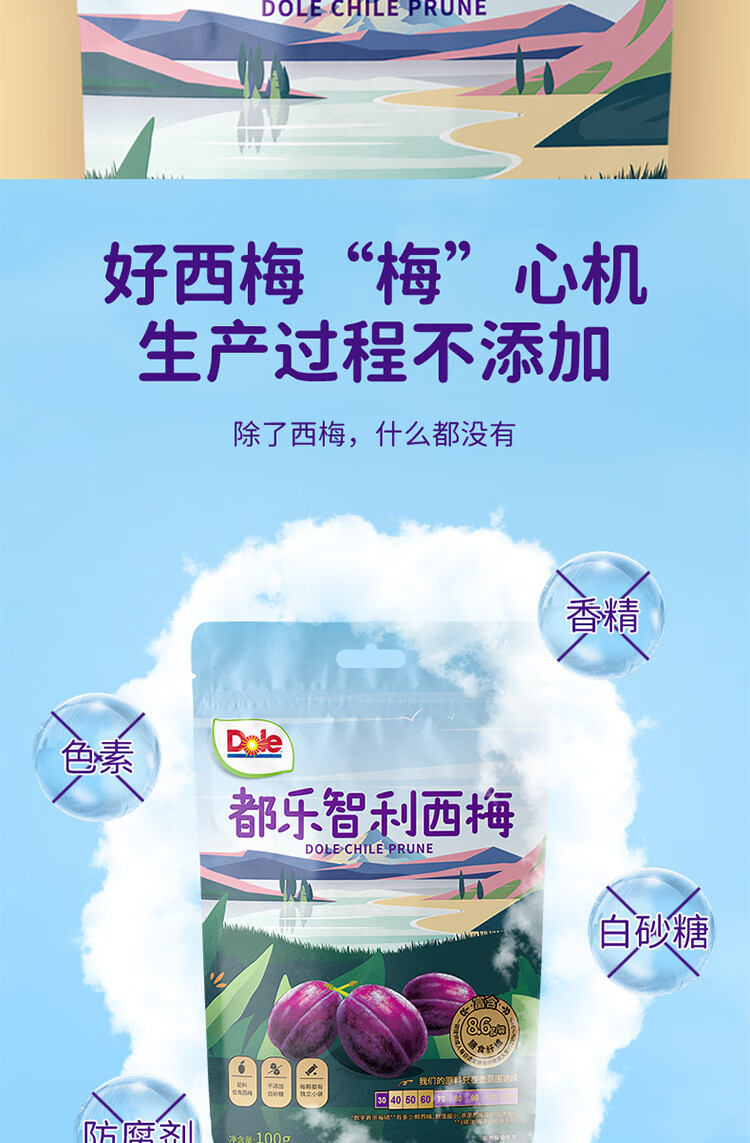 都乐 蜜饯果干果脯 儿童休闲零食 办公室小吃 智利西梅 100g