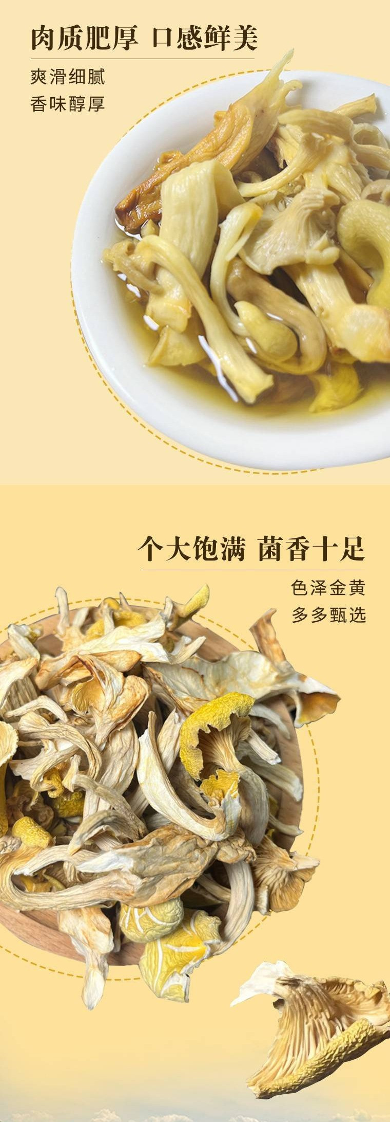 打谷塬 鸡油菌