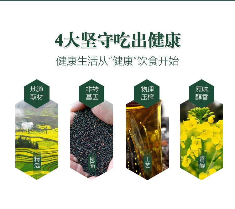 陈克明 压榨菜籽油4L食用油家用非转基因菜油