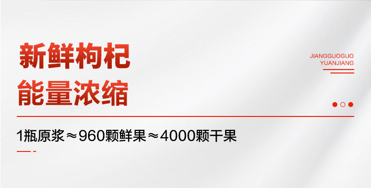 疆果果 沙棘原浆 新疆特产