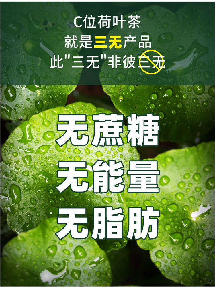 华贵 【洪湖】310ML/罐*12罐C味荷叶茶