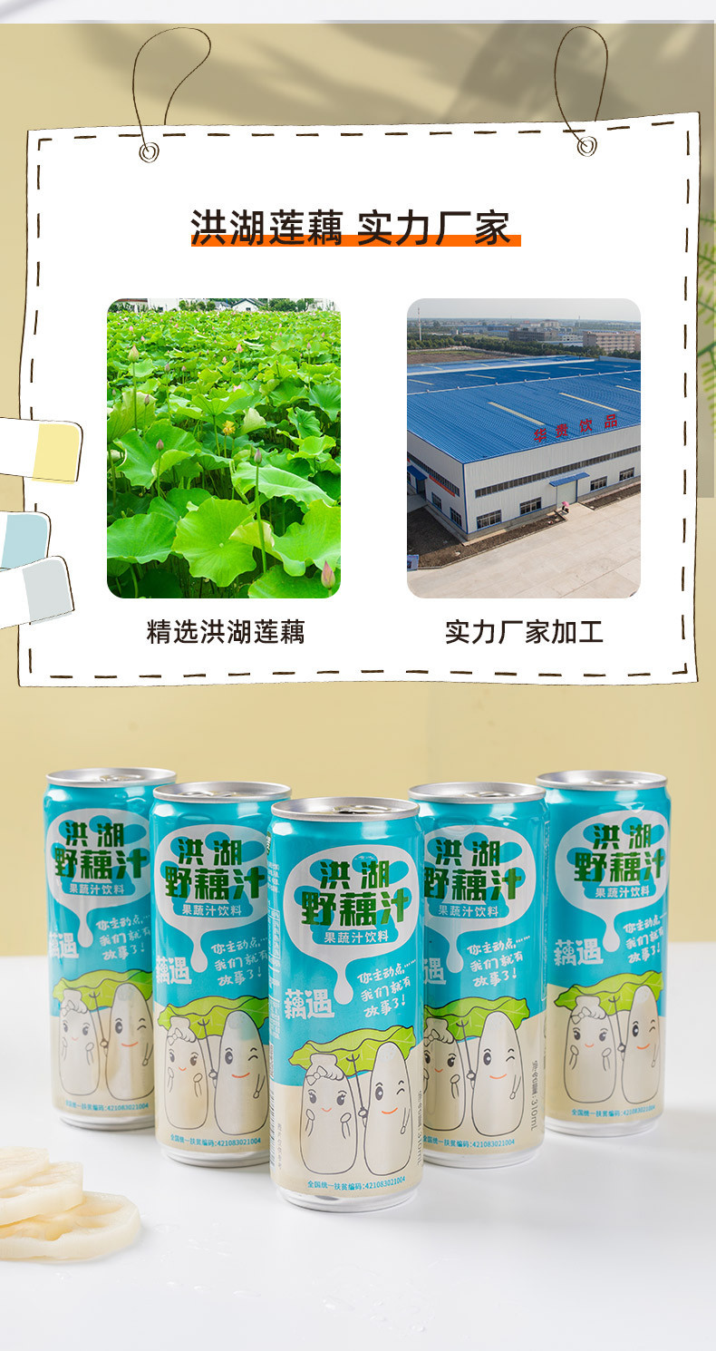 华贵 【洪湖】310ML/罐*12罐洪湖野藕汁