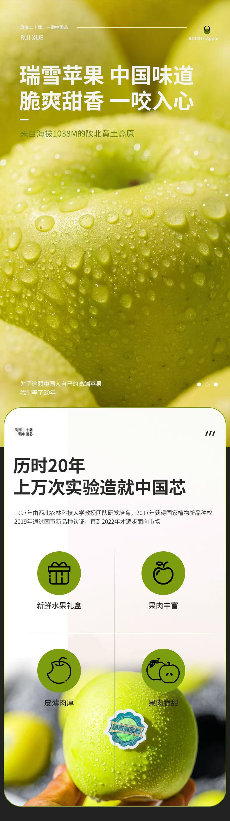 邮政农品 陕西西安瑞雪苹果礼盒包装8/10枚装