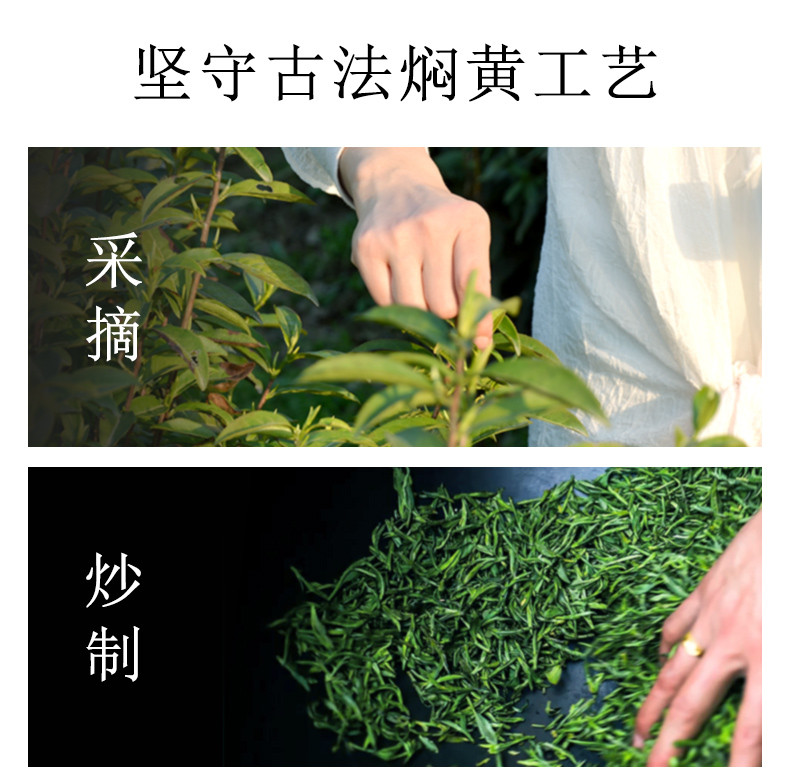 徽之元 霍山黄芽特一级福罐100g