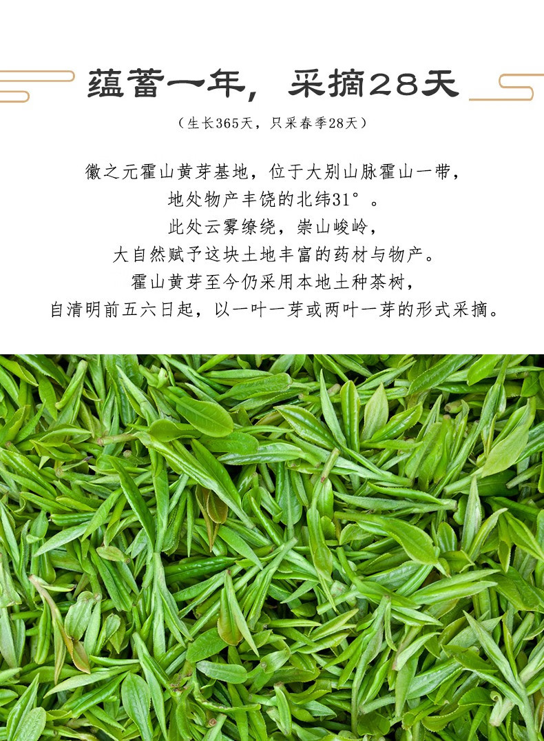 徽之元 霍山黄芽特二级梅花听100g