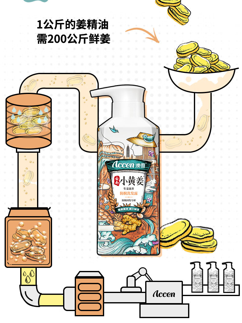 澳雪 accen云南小黄姜防脱洗发水750ml 防脱发洗发水洗发露