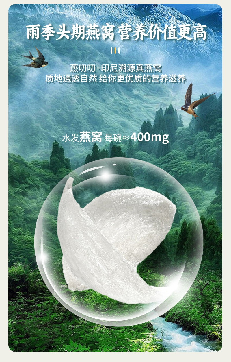 燕叨叨 燕麦牛奶燕窝粥1488g