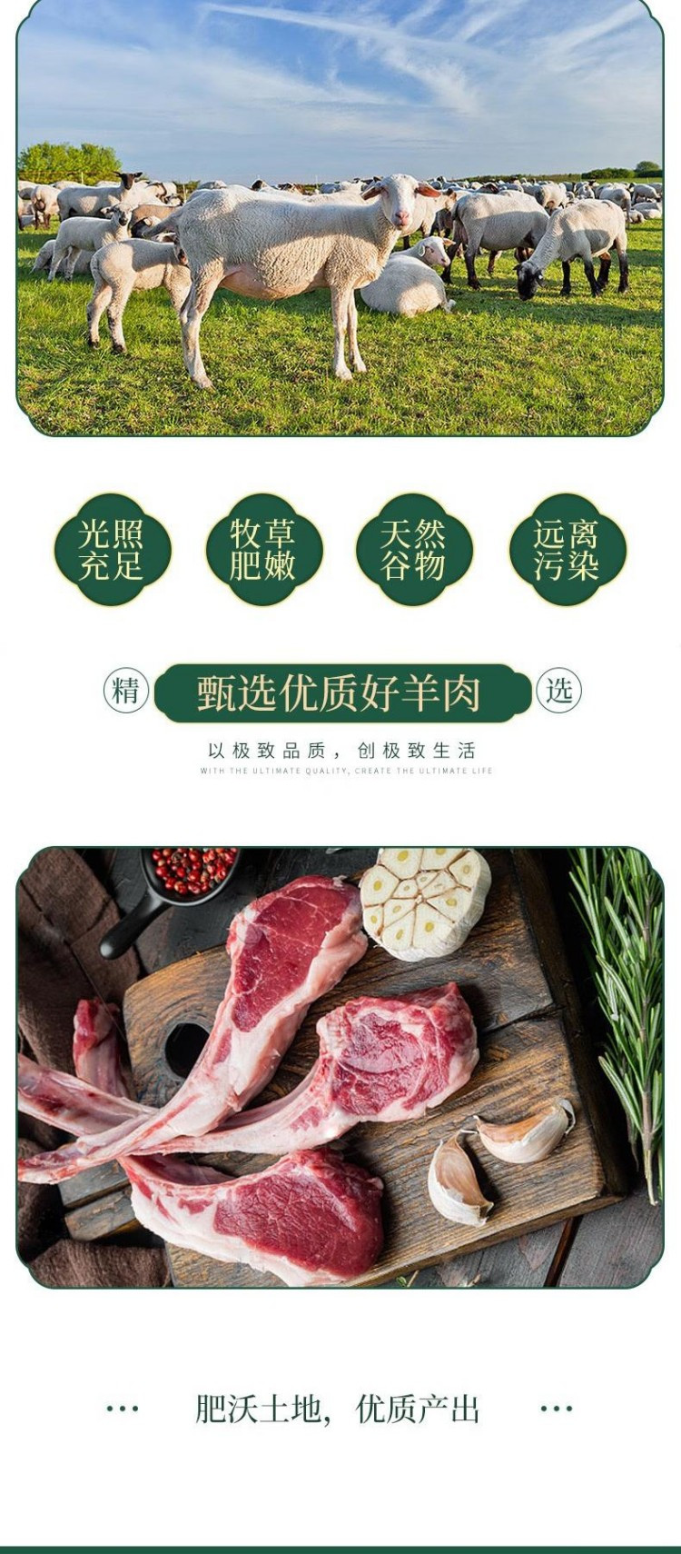 汇鲜阁 羊肉礼盒E款5500g