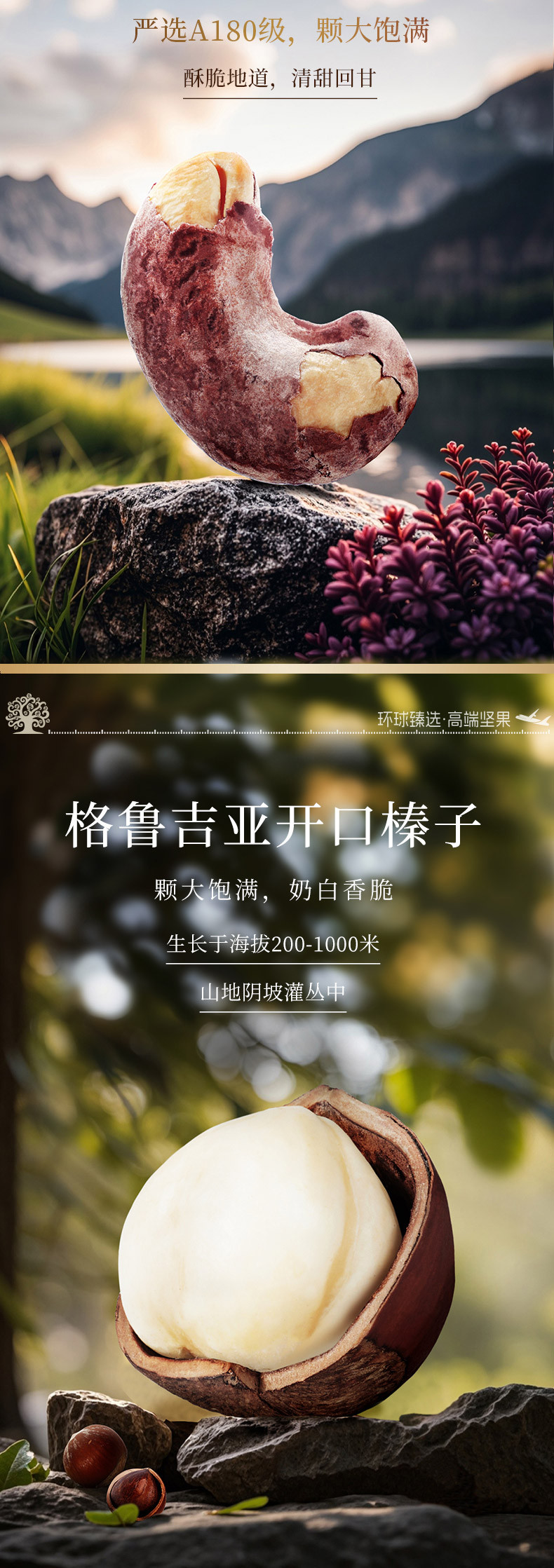 臻味 环球荣耀 2.015kg