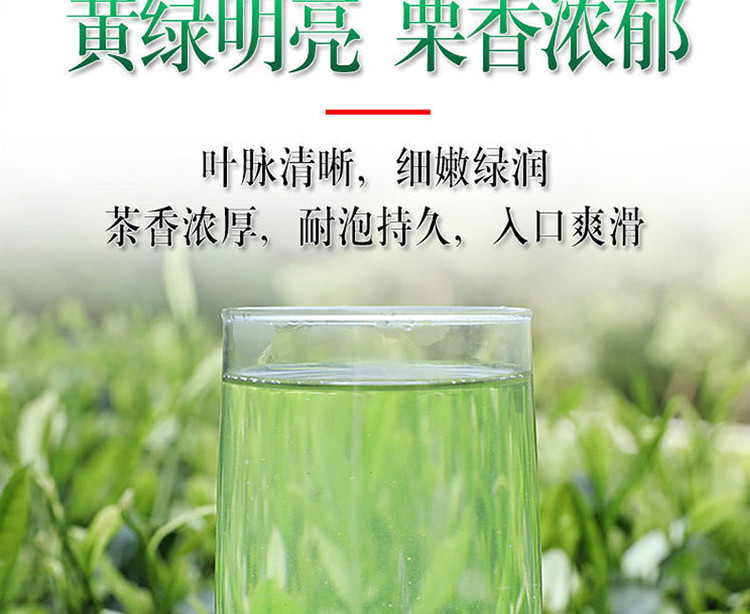 鑫勇泰 丝绵茶 绿茶