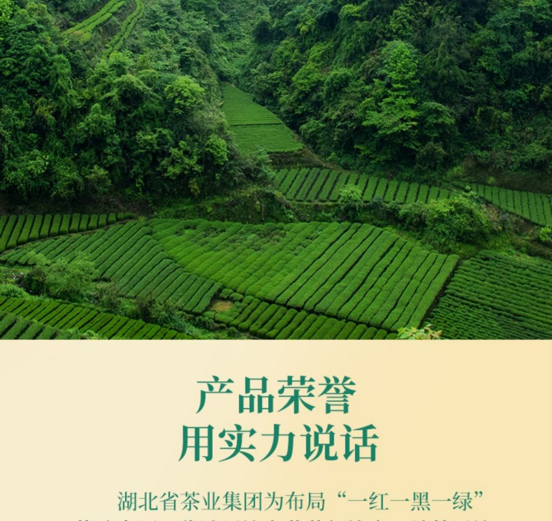 羽露 寻山玉露绿茶礼盒 硒茶 特级 4g*30袋 单泡分装