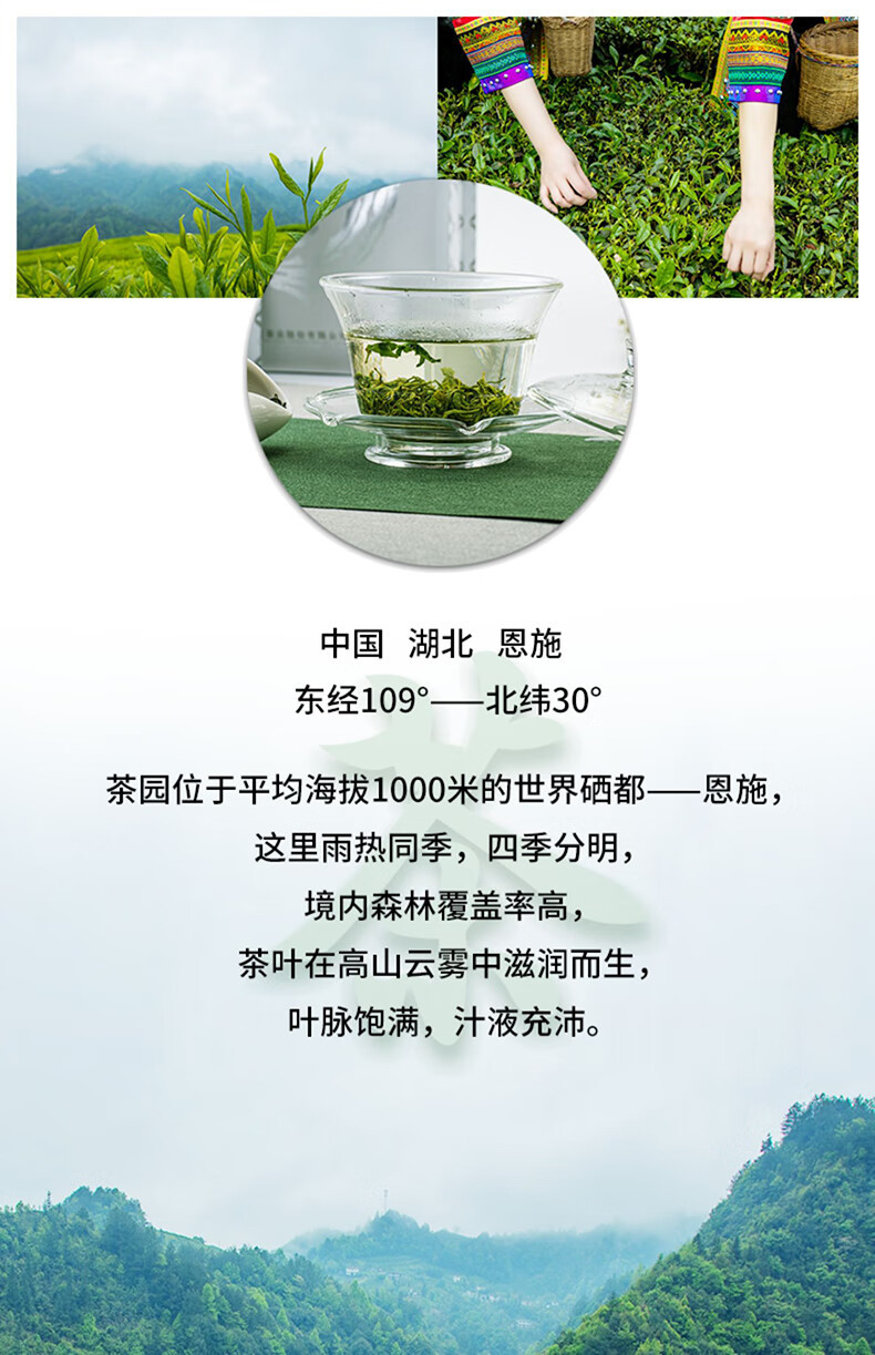 羽露 烘青绿茶袋装（特级）硒茶 简易铝箔袋装