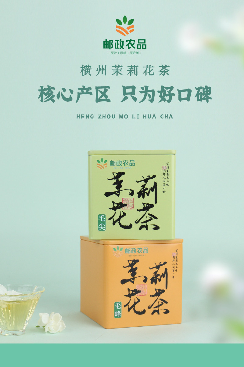 邮政农品 横州茉莉花茶毛尖5g*10包（50g/罐）送一袋茉莉花干 花