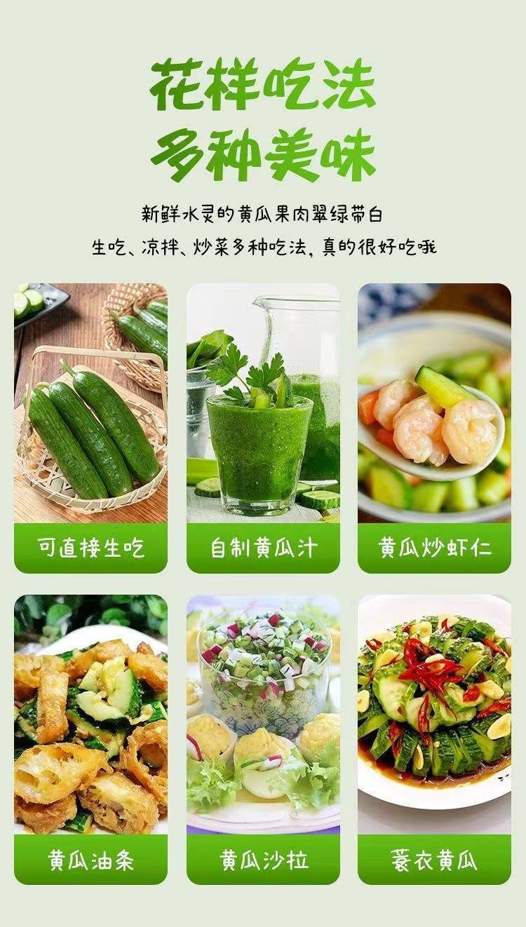 邮鲜生 【农家新鲜水果黄瓜】现摘现发脆嫩多汁3斤