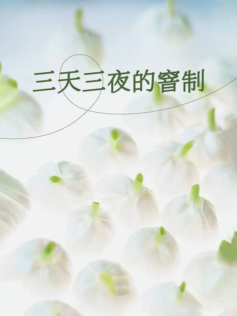 邮政农品 横州市茉莉六堡围炉煮茶款100g/盒