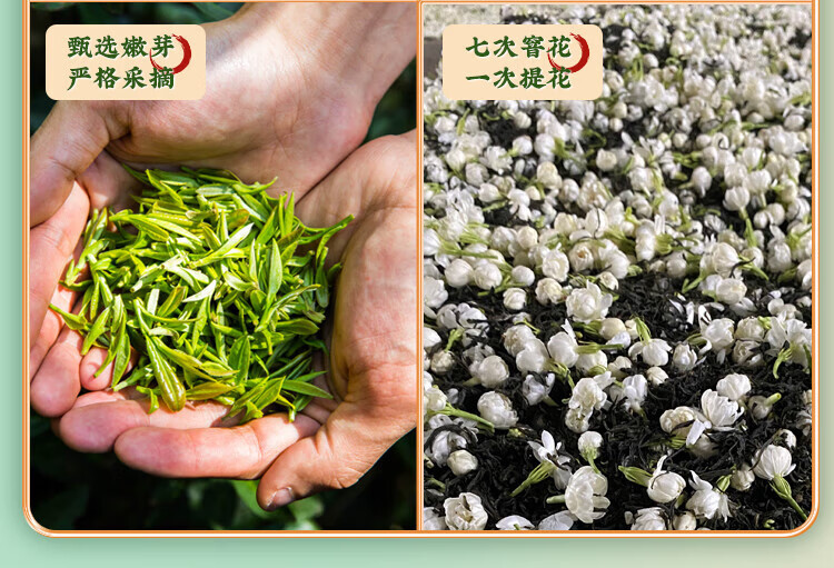 张一元 茉莉香茗特级浓香花茶袋装50g*3袋 浓香耐泡