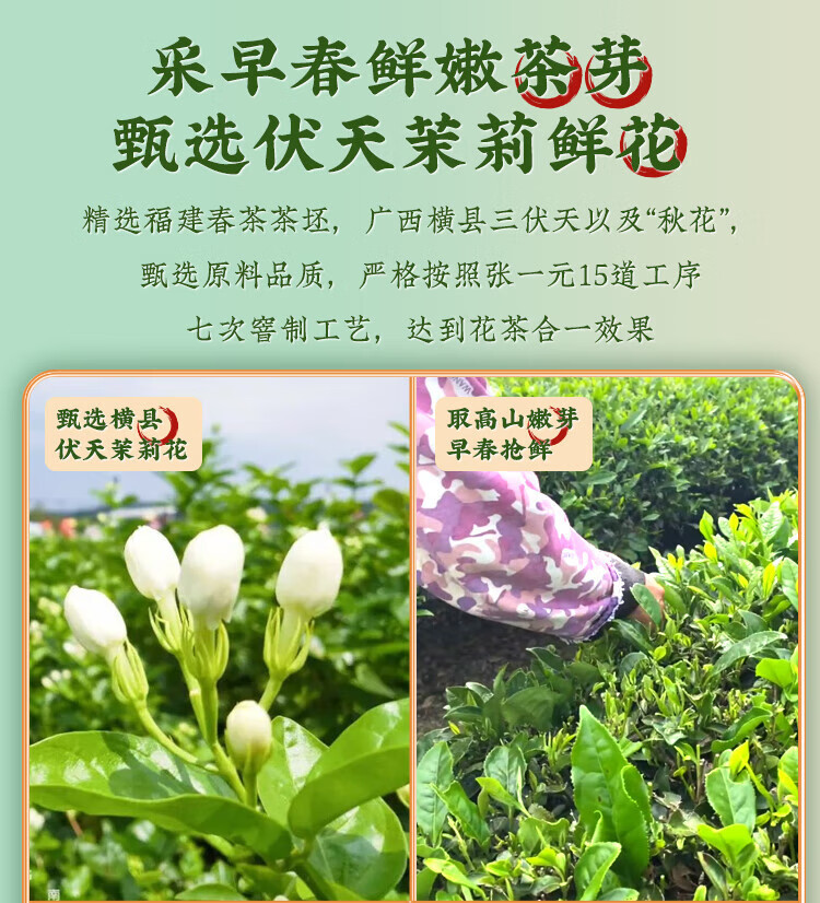 张一元 茉莉香茗特级浓香花茶袋装50g*3袋 浓香耐泡