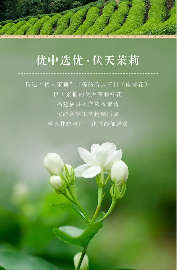 张一元 茉莉花茶云叶香珠罐装100g 耐泡回甘