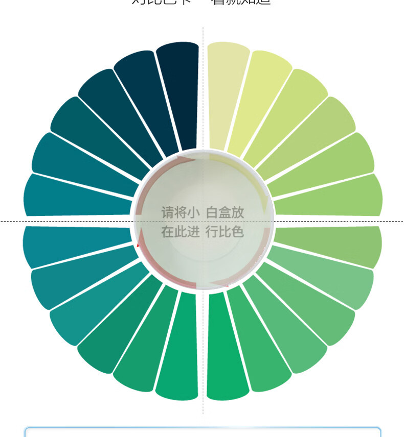 绿之源 强劲除醛拍拍罐4罐装+甲醛自测盒