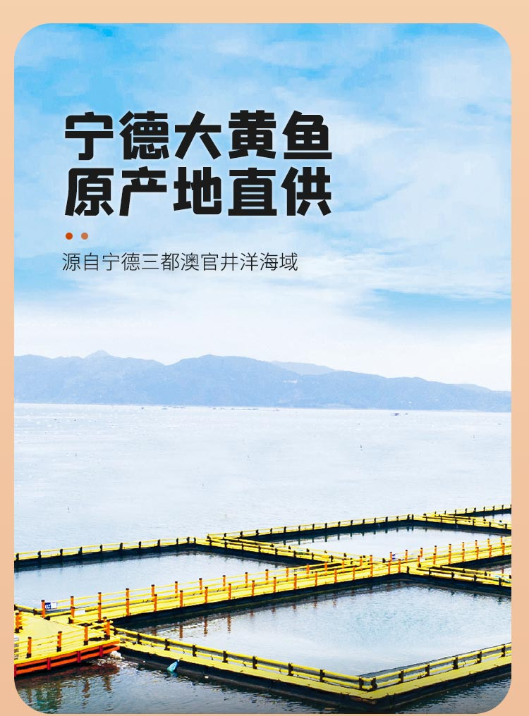 三都港 醇香黄鱼鲞155g*8条大黄鱼宁德深海黄花鱼新鲜冷冻海鲜水产