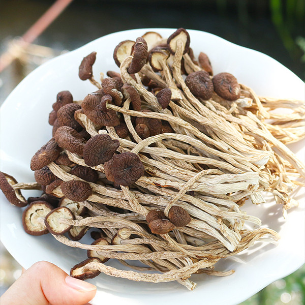 蜂吻 茶树菇