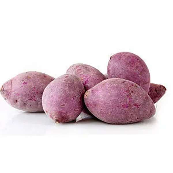 蜂吻 紫薯（小）
