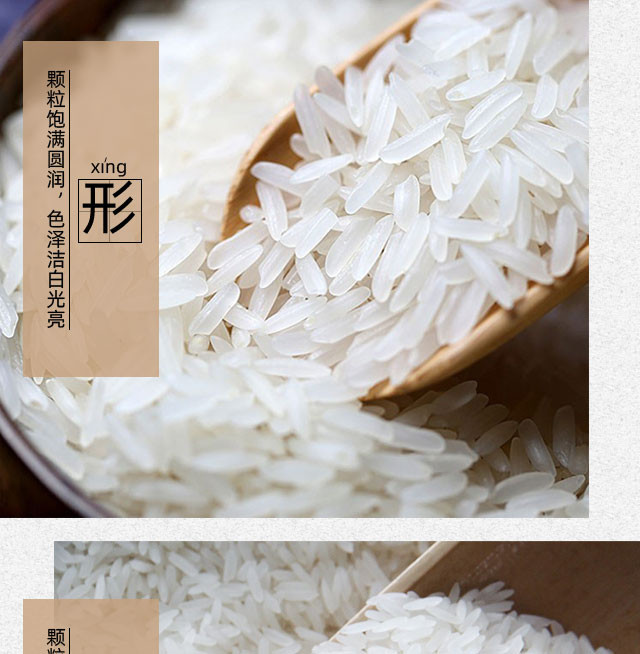  三谷粮元 赣南优质稻香米长粒香大米当季新鲜香米健康绿色大米10斤礼盒装