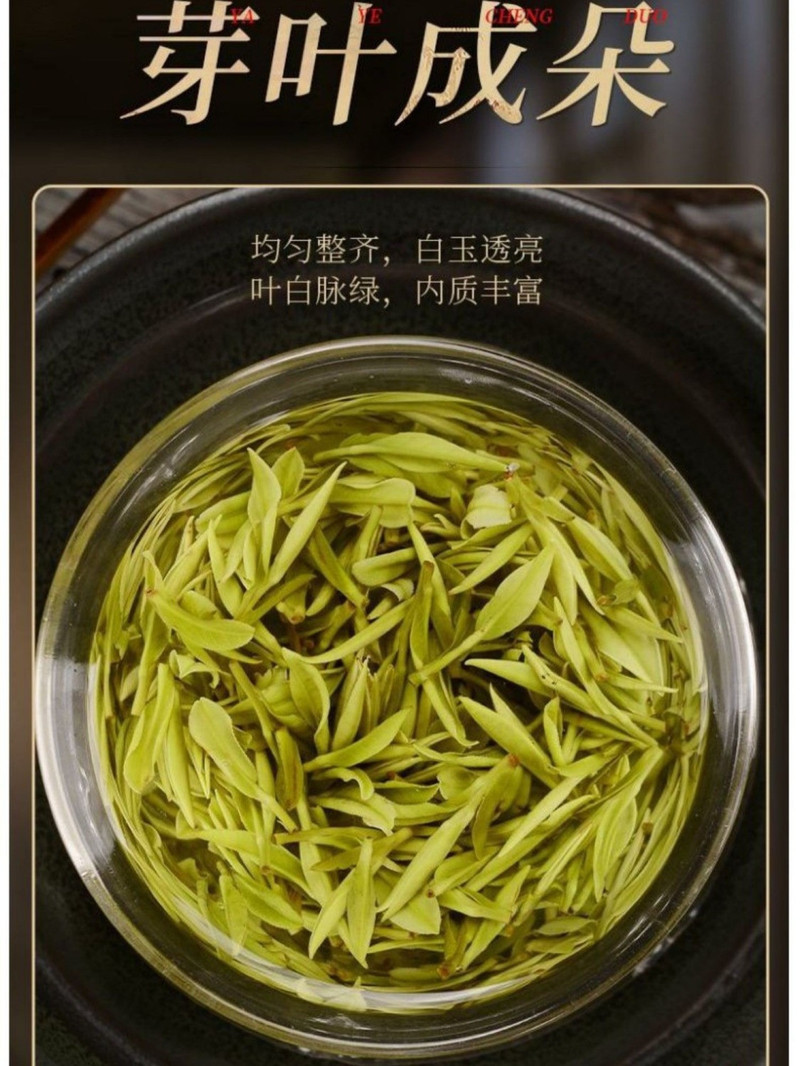 和沁春 春季新茶龙井茶高端礼盒装高档定制精致陶罐精美节日礼盒 颗颗严选