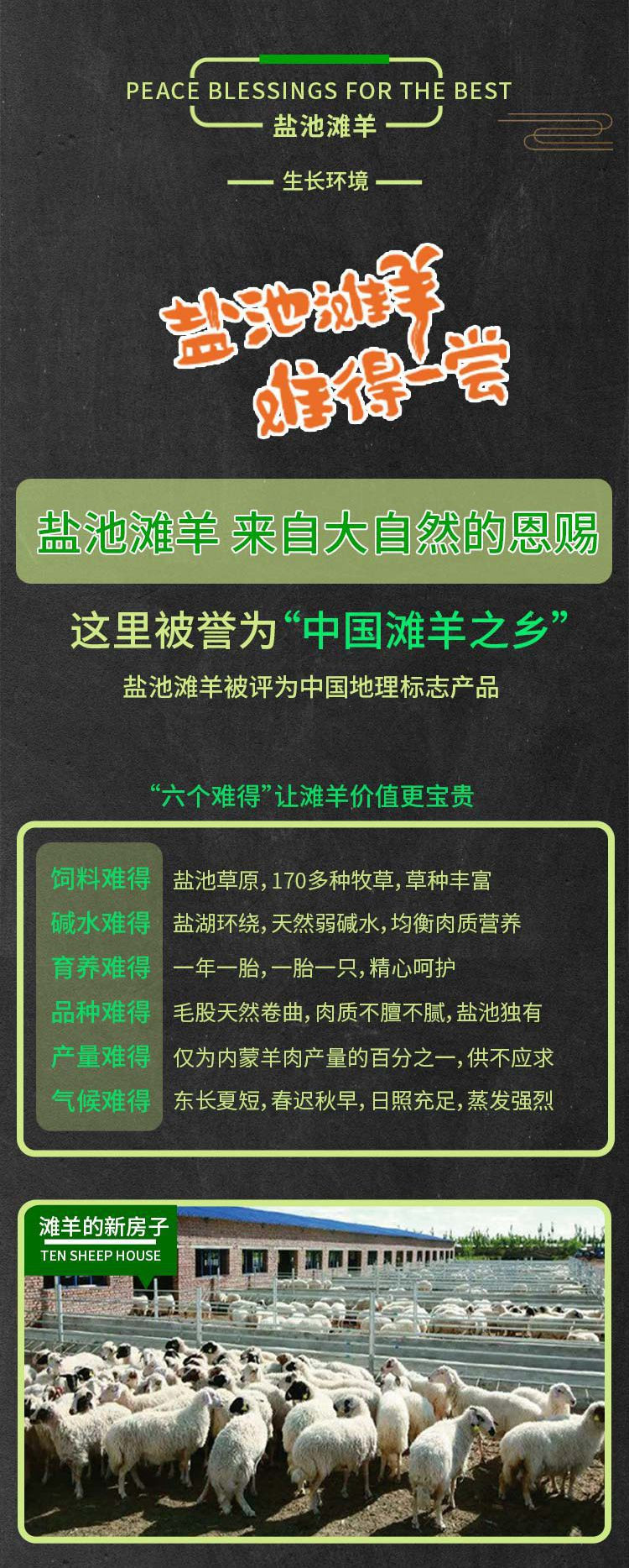 萨羊 宁夏盐池滩羊不膻草原羊肉整羊半礼盒公司年节礼品