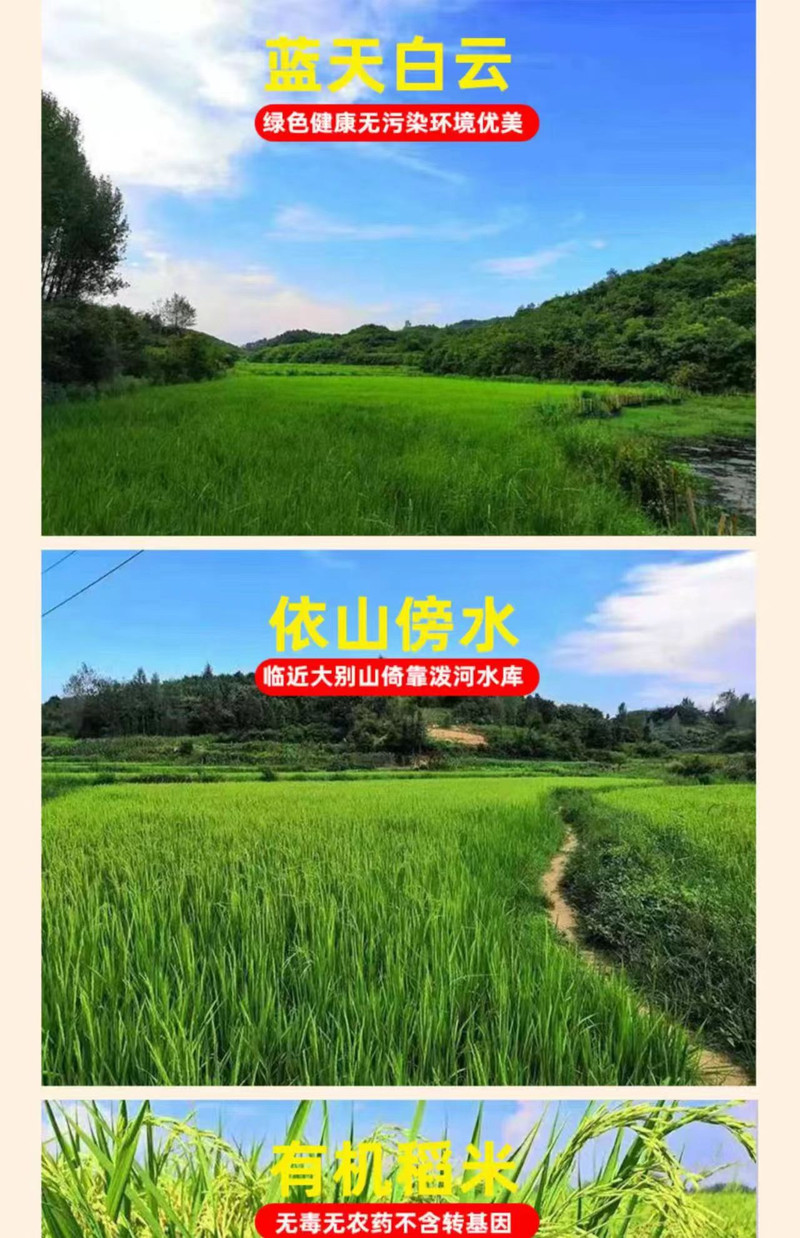 光山十宝 禾园农合有机鲜稻米