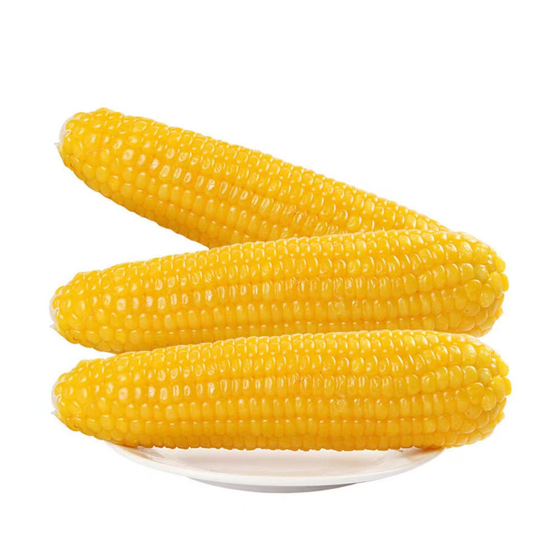 丰登鲜生 黄糯玉米棒黏玉米非转基因包装黏苞米黄糯玉米