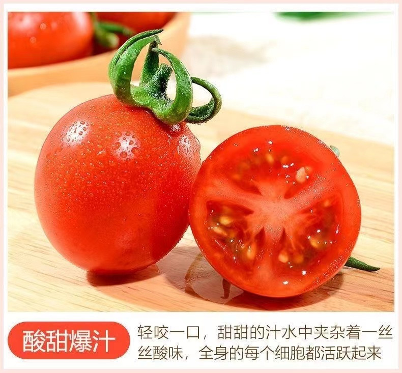 丰登鲜生 千禧圣女果新鲜小番茄樱桃番茄小柿子新鲜水果