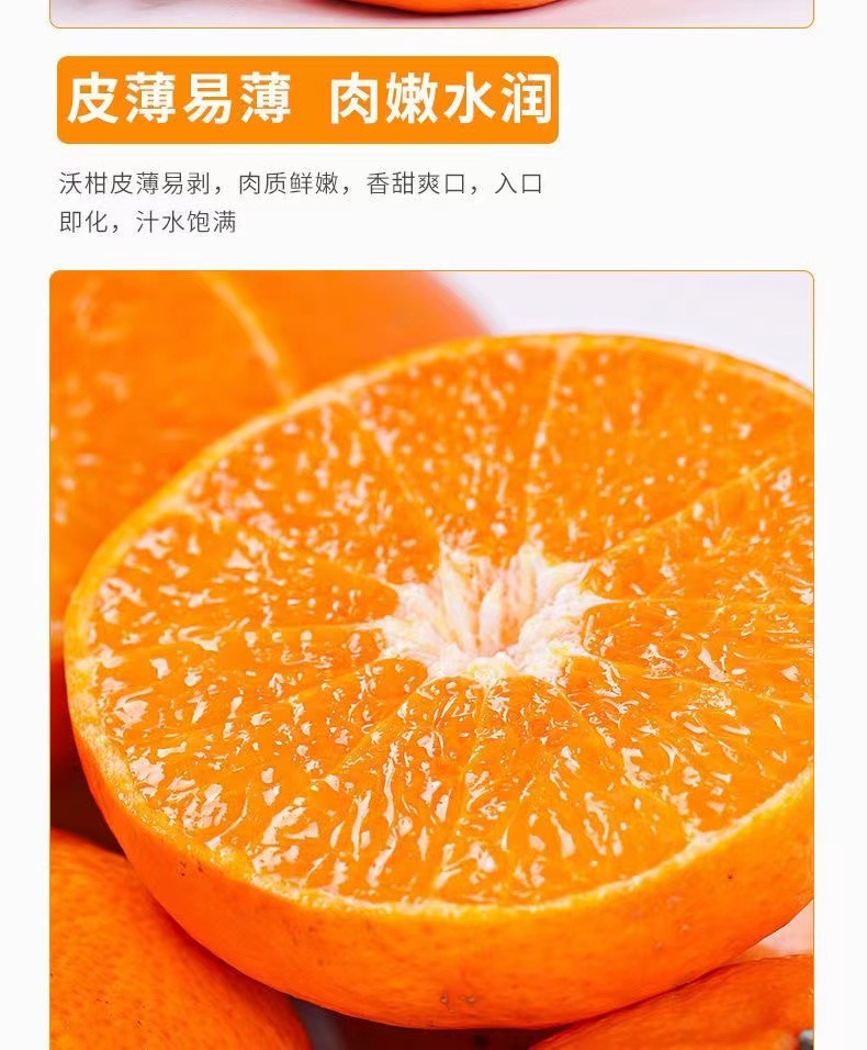 丰登鲜生 正宗广西武鸣沃柑桔橘子【单果65-90mm】