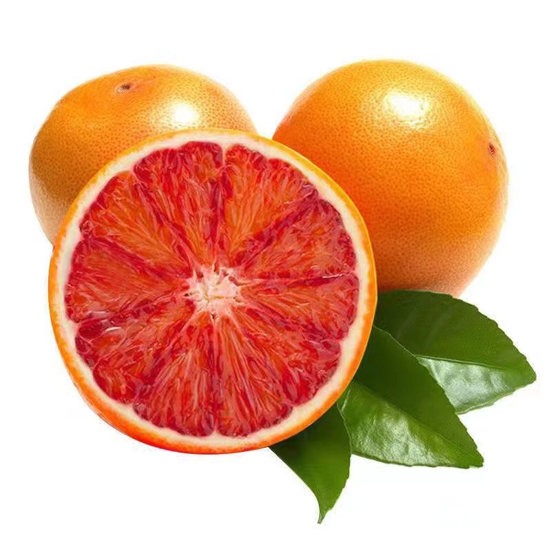 丰登鲜生 正宗塔罗科血橙子四川橙子玫瑰血橙应季新鲜红心水果