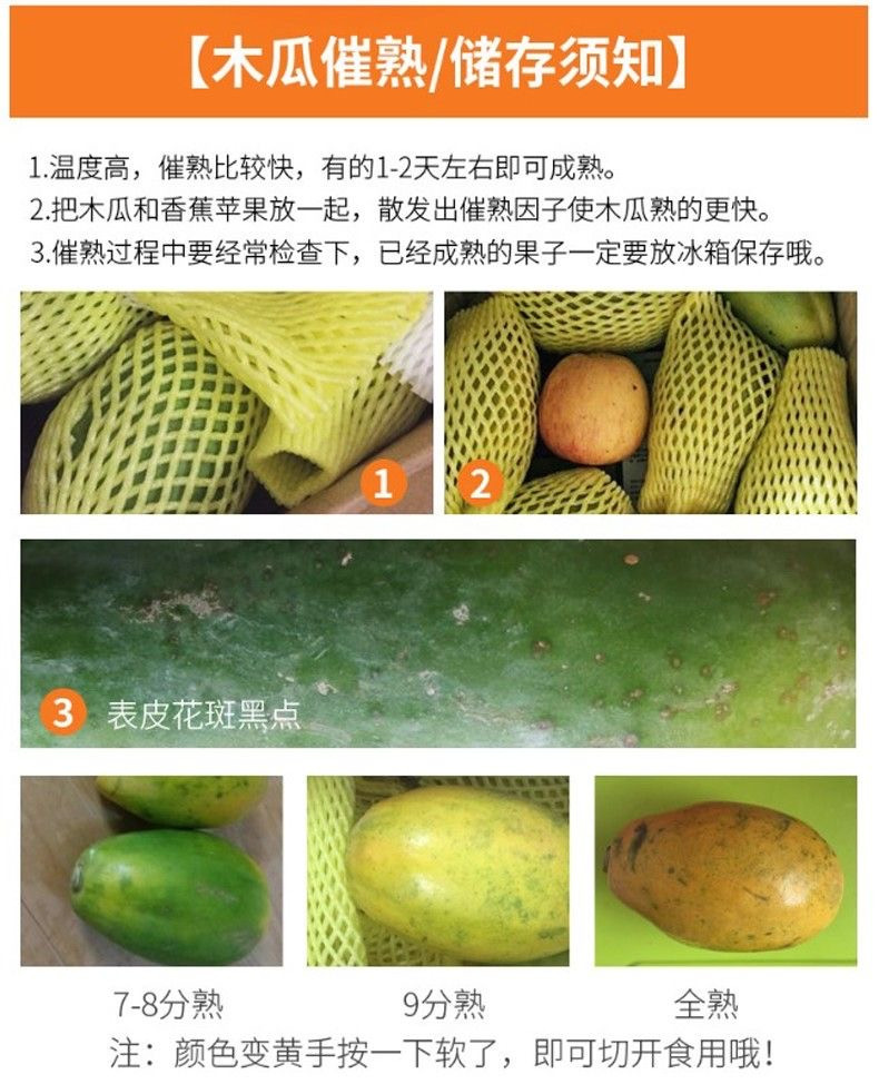 丰登鲜生 红心木瓜 新鲜水果 当季青木瓜牛奶冰糖心