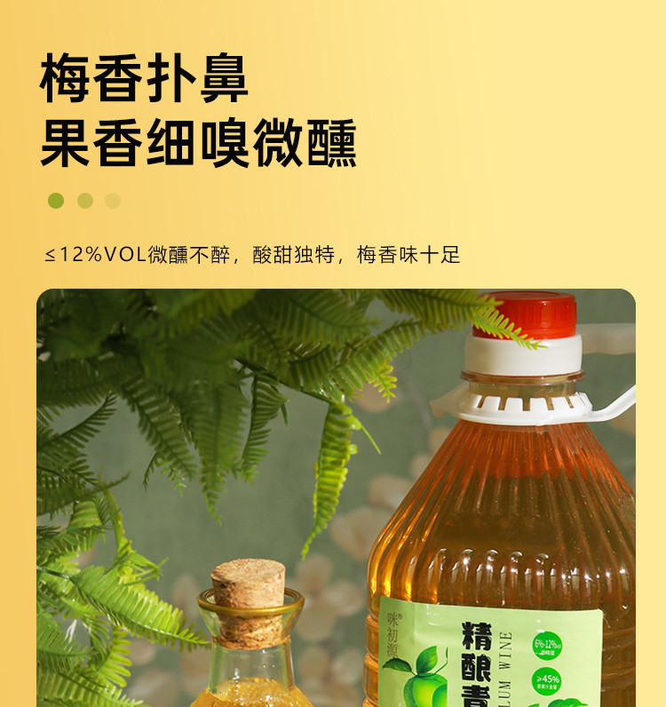 咪初源 青梅酒网红果酒2.5L桶装低度传统发酵梅子江西正宗甜酸甜梅酒