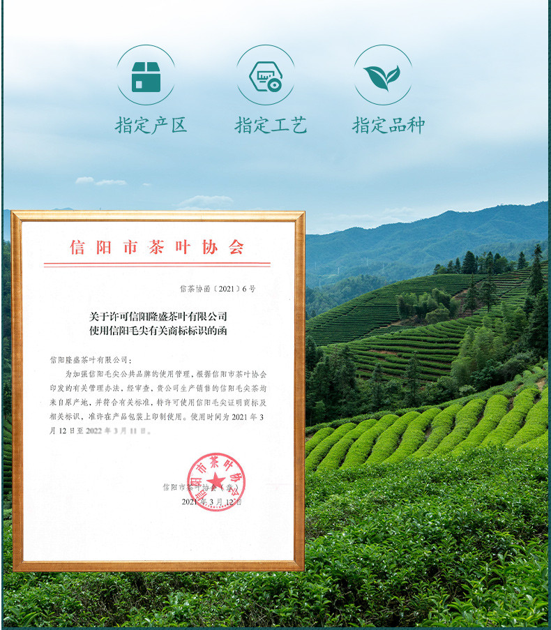 信隆晟 【信阳邮政】信阳毛尖茶叶明前茶高山云雾嫩叶绿茶200克礼盒装