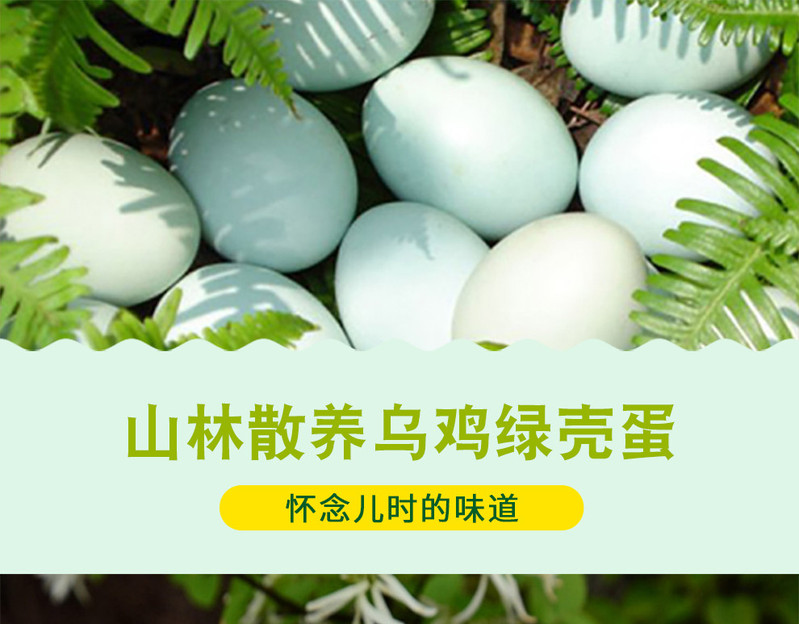 琼艺 【领2元券】河南农家乌鸡蛋30枚绿壳鸡蛋新鲜土鸡