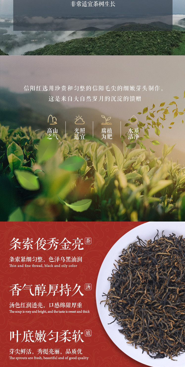 信隆晟 信阳红茶250克每袋金汤红茶秋冬暖茶信阳毛尖茶